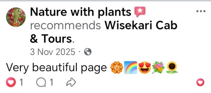 Wisekari Cab & Tours customer review 6