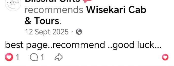 Wisekari Cab & Tours customer review 7