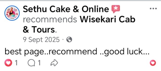 Wisekari Cab & Tours customer review 8