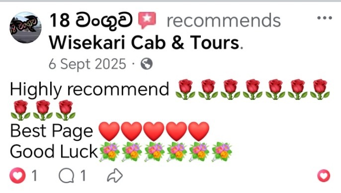 Wisekari Cab & Tours customer review 10