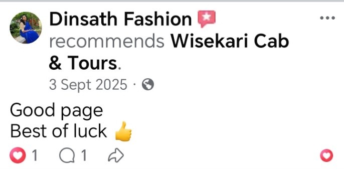 Wisekari Cab & Tours customer review 11