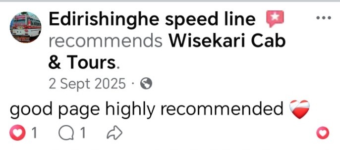 Wisekari Cab & Tours customer review 13