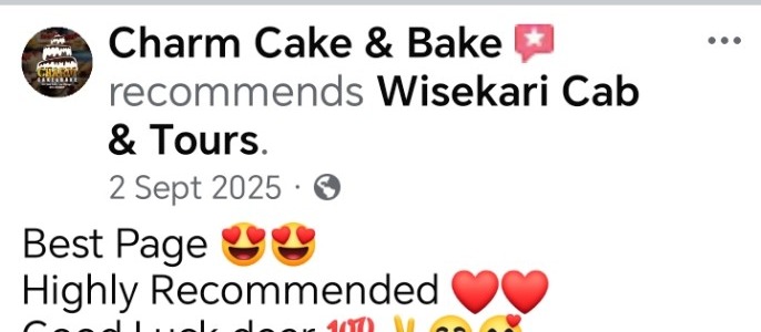 Wisekari Cab & Tours customer review 14