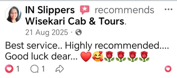 Wisekari Cab & Tours customer review 20