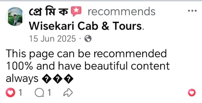 Wisekari Cab & Tours customer review 24