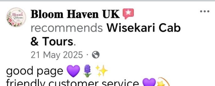 Wisekari Cab & Tours customer review 26