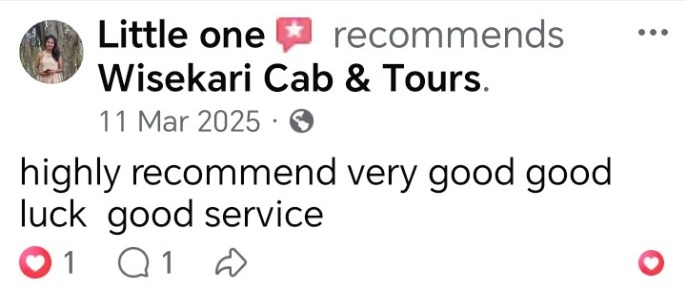 Wisekari Cab & Tours customer review 35