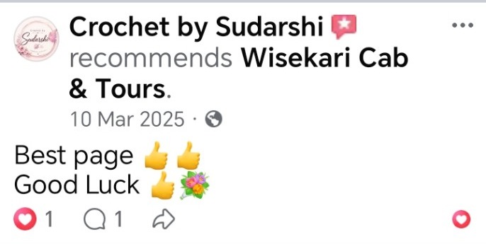 Wisekari Cab & Tours customer review 37