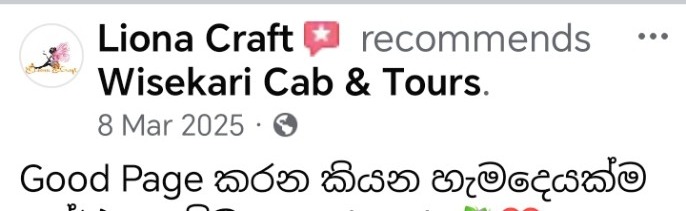 Wisekari Cab & Tours customer review 38
