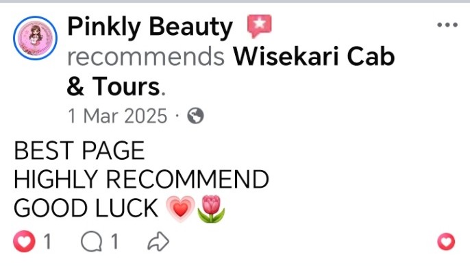 Wisekari Cab & Tours customer review 44