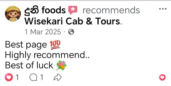 Wisekari Cab & Tours customer review 45