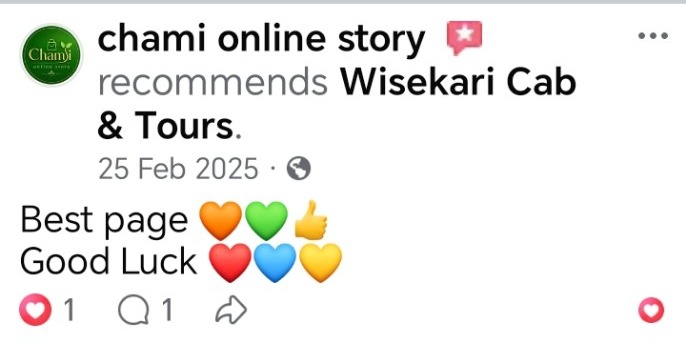 Wisekari Cab & Tours customer review 49